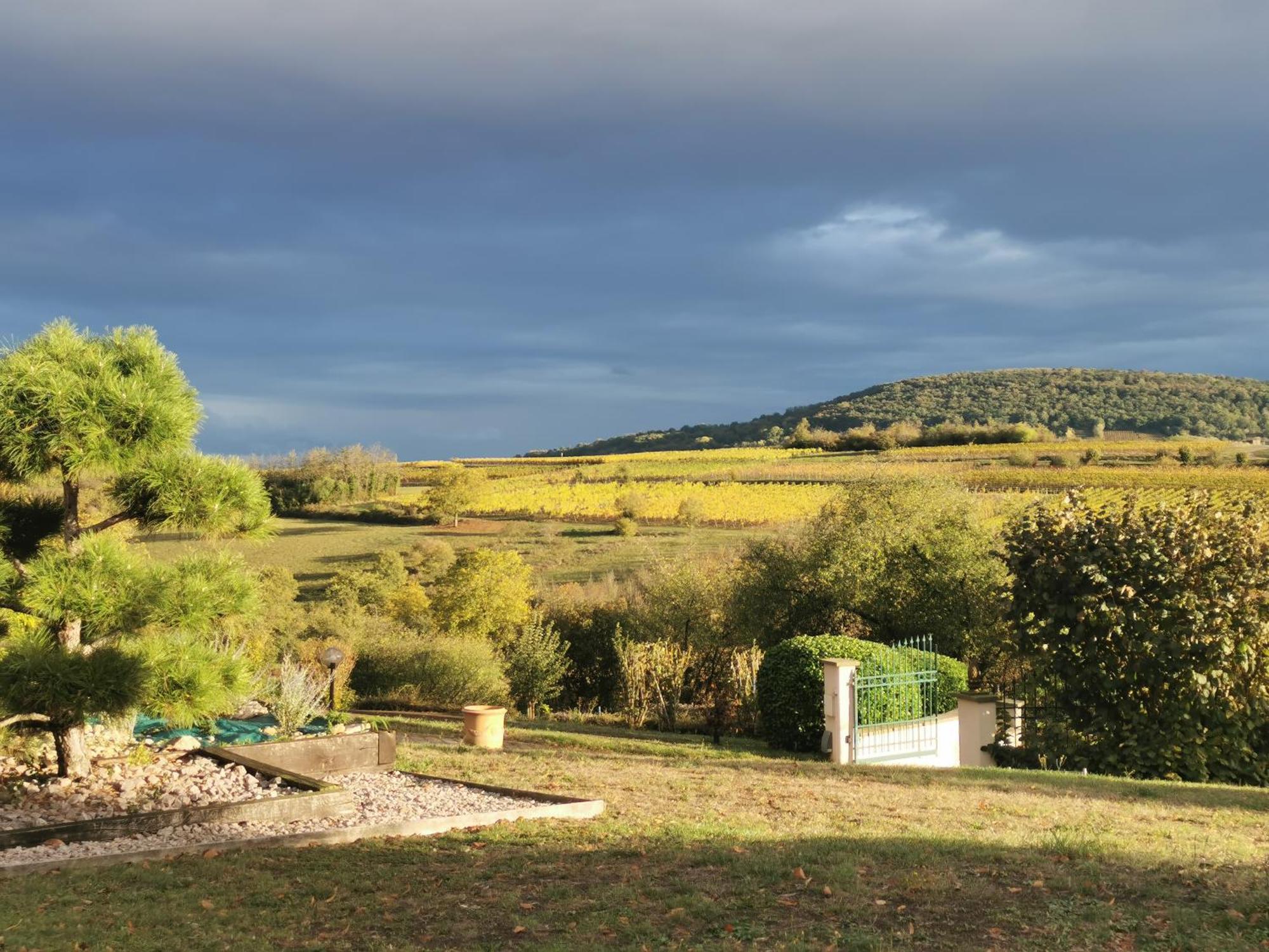 Studio Spacieux, Route Des Vins Rosheim Eksteriør bilde